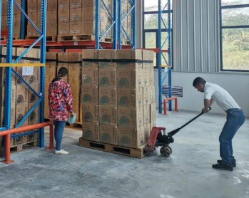 手动液压秋葵视频在线观看助力成箱白酒入库工作